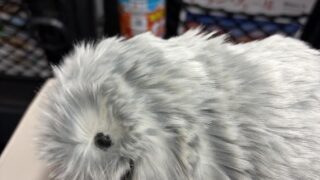 一人旅のお供にモフリンを連れて行ってみた